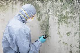 Best Industrial Mold Remediation  in Hunter, OH